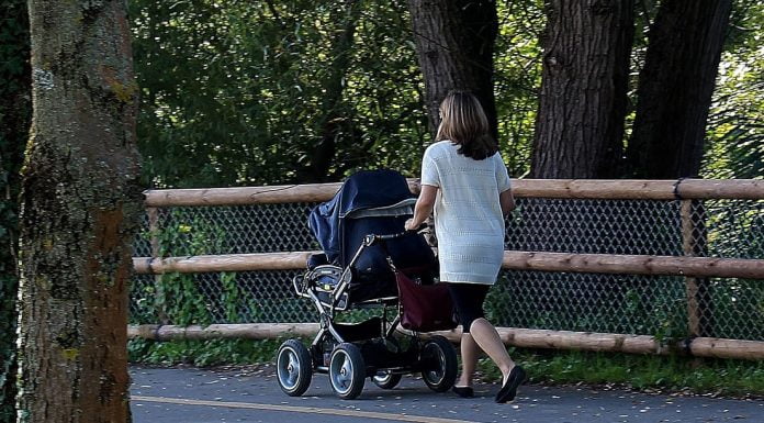 How Many Strollers Do I Need How-Many-Strollers-Do-I-Need1